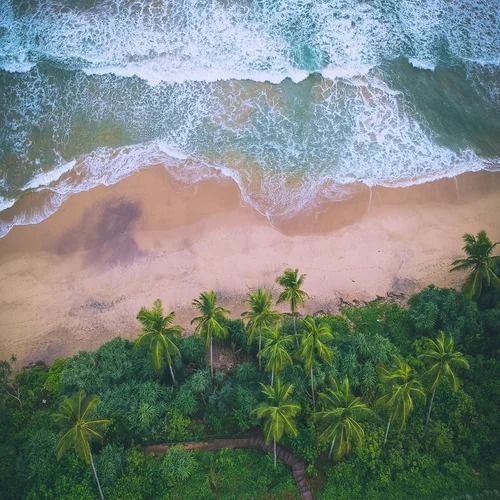 THE POSTCARD Canara Bank